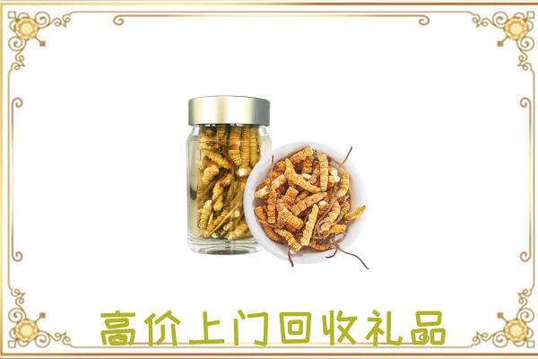 烟台周边回收虫草